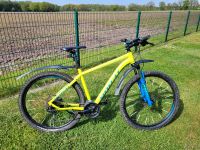 Mountainbike Hardtail Fahrrad Ghost Tacana 500 LE Niedersachsen - Fürstenau Vorschau