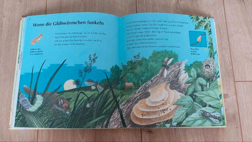 ❤️ Tierbuch Große Tiere Kleine Tiere Bauernhof Wald Wiese Teich in Dresden