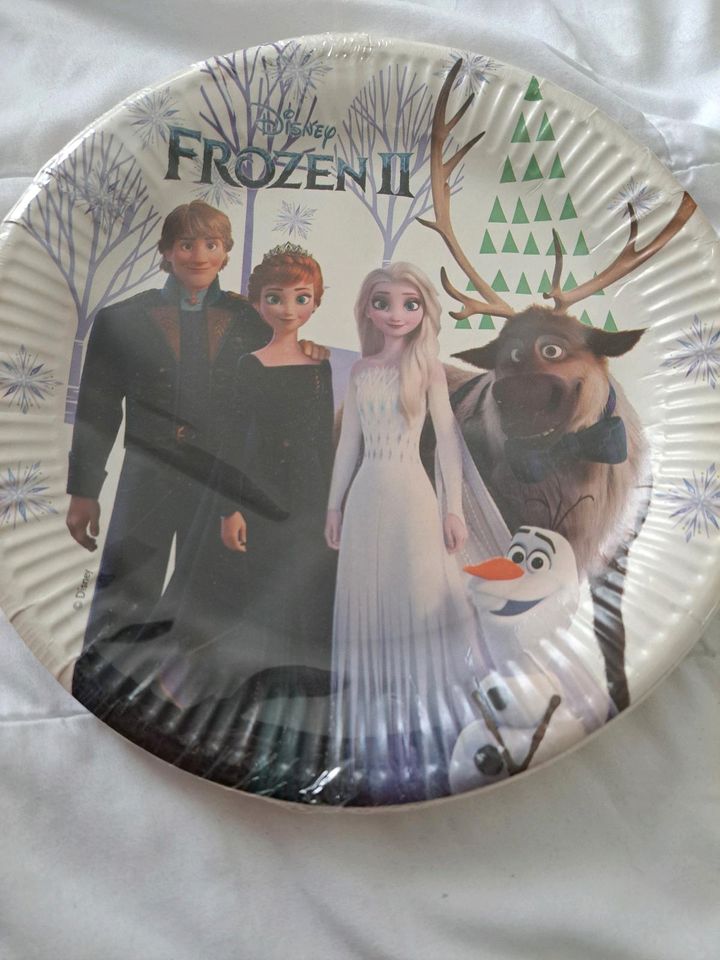 Disney Frozen 2 Pappteller in Merenberg