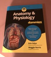 Buch- Anatomy& Physiology Kreis Pinneberg - Schenefeld Vorschau