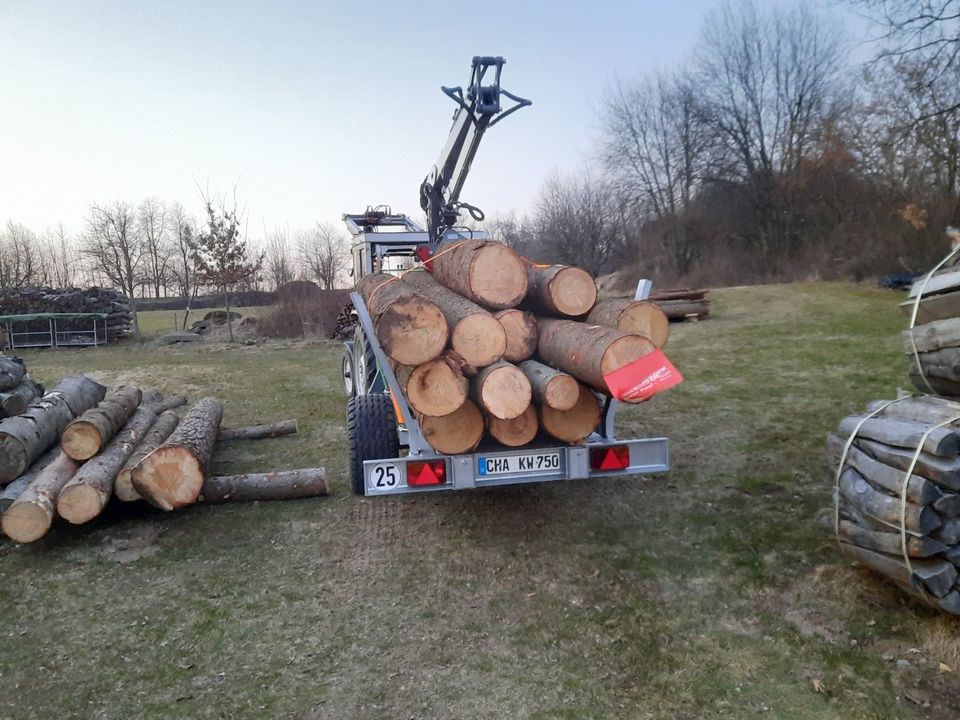 Holztransport mit Rückewagen, Brennholz, Stammholz, Äste in Arnschwang