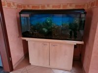 Aquarium 240l Niedersachsen - Holdorf Vorschau