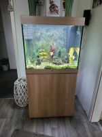 Juwel aquarium Nordrhein-Westfalen - Lünen Vorschau