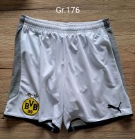 Puma BVB-Sporthose, kurz, Gr.176 Niedersachsen - Helmstedt Vorschau