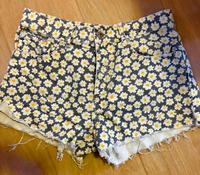 Zara Sommer Shorts Damen Gr. 38 / M Blau Gelb Blumig Brandenburg - Neuruppin Vorschau