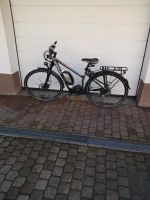 Haibike Xduro Trekking E-Bike 612Wh Baden-Württemberg - Höchenschwand Vorschau