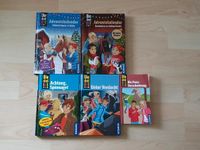 Die Drei 3 Ausrufezeichen !!! Adventskalender Buch Spionage Set Kr. München - Neuried Kr München Vorschau