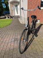 28 Zoll Damen Fahrrad Nordrhein-Westfalen - Ahlen Vorschau