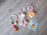 Babyspielzeug Paket Mädchen Haba babylove Rasseln Set Dresden - Dresden-Plauen Vorschau