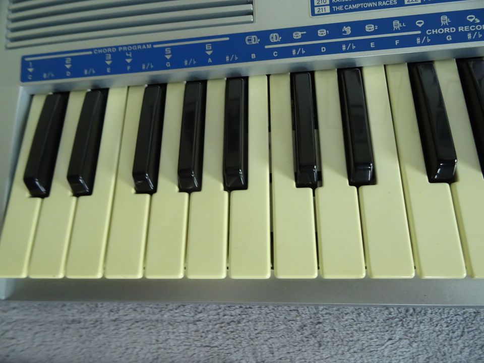 Bontempi PM 695 Keyboard mit Tasche, Anleitung und Übungshefte in Büdelsdorf