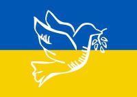 Ukraine Hilfe Inventar & Geräte sowie Textilien-kostenlos Teil 2 Saarbrücken-Mitte - Alt-Saarbrücken Vorschau
