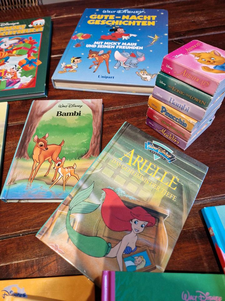 Disney Bücher in Langquaid