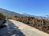 Teneriffa: Großzügige kanarische Finca mit Ausbaureserve Berlin - Charlottenburg Vorschau