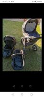 Kinderwagen von LARGO Sachsen-Anhalt - Eilsleben Vorschau