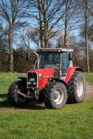 Massey Ferguson 3635 Dortmund - Westerfilde Vorschau