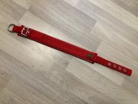 Hunter ⭐️ Halsband 54 cm M/L rot Neopren Sachsen-Anhalt - Wackersleben Vorschau