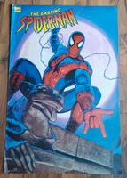 Spider-Man Poster 1995 Greg Hildebrandt Köln - Kalk Vorschau