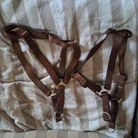 Hundegeschirr Trixie 2x  L Schleswig-Holstein - Osterrönfeld Vorschau