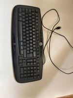 Logitech Gaming Tastatur Rheinland-Pfalz - Nauroth Vorschau