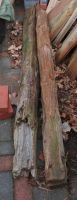 2 Holzbalken alt á 2,3 m Brennholz Lagerfeuer Kaminholz St. 10,00 Niedersachsen - Rehburg-Loccum Vorschau