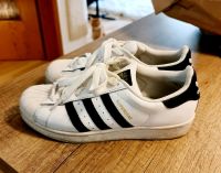 ADIDAS Superstar Bayern - Erlangen Vorschau