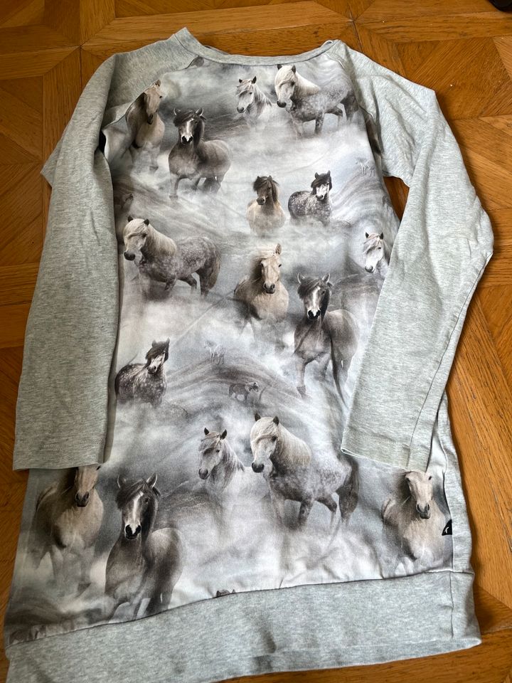 Molo Pullover Sweatshirt Tshirt 140 Pferde in München