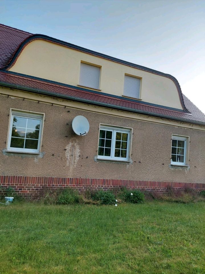 Einfamilienhaus *kein Mietkauf* in Mühlberg/Elbe