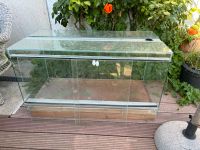 Vollgas Terrarium 60x60x120 Schleswig-Holstein - Lübeck Vorschau