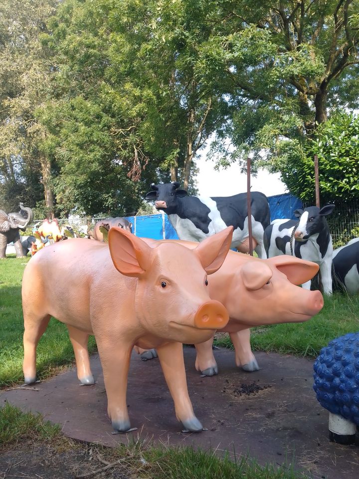 Schweine Eber, Sau Lebensgroß Glasfaser Gartenfigur in Varel