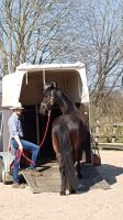 Mobiler Reitunterricht | Seminare I Horsemanship Niedersachsen - Vechta Vorschau