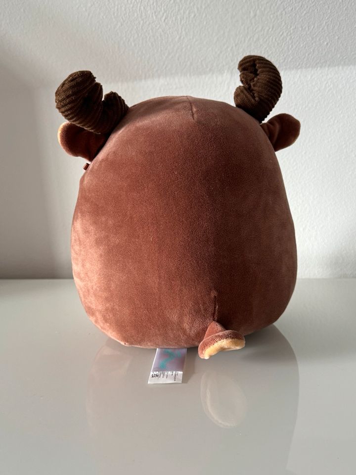 Squishmallow Maurice 20cm in Beelen