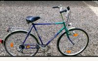 Vintage Prophete Alu Style Fahrrad von 1991 Nordrhein-Westfalen - Alpen Vorschau