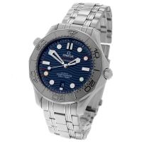 Omega Seamaster Professional 300 Co-Axial Master-Special Edition Hannover - Mitte Vorschau