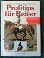 Profitips für Reiter Baden-Württemberg - Benningen Vorschau