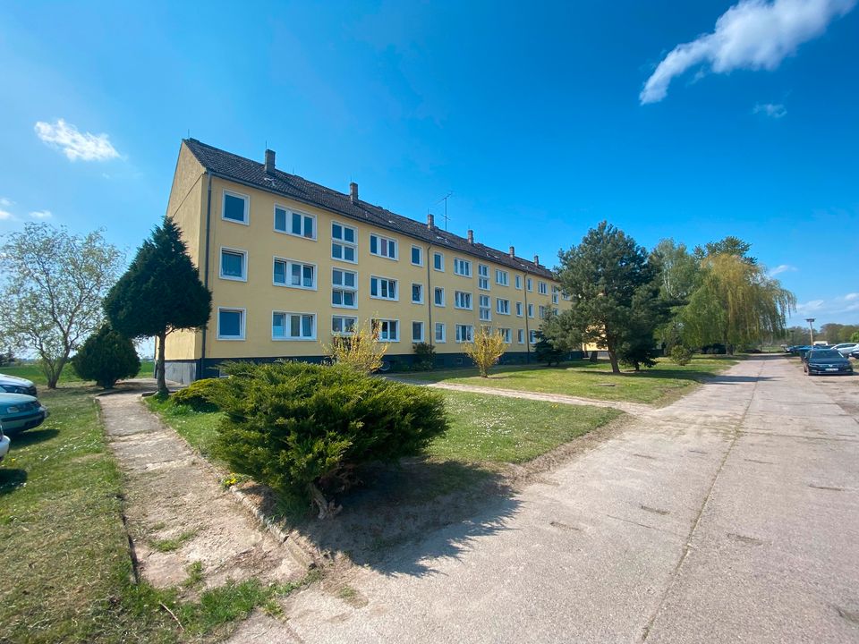 Mehrfamilienhaus in Salzwedel in Salzwedel
