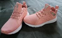Neue Puma Schuhe Sneaker rosa gr. 38 Brandenburg - Fredersdorf-Vogelsdorf Vorschau