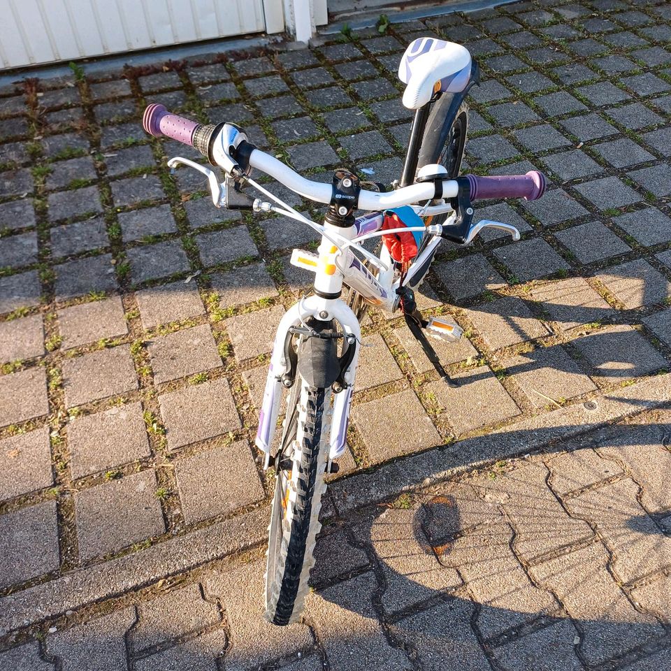 Cube Fahrrad 20 Zoll in Pforzheim
