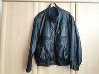 Herren-LEDER - BLOUSON / MOTORRADJACKE,   Größe  56 / XXL Sachsen - Lohmen Vorschau