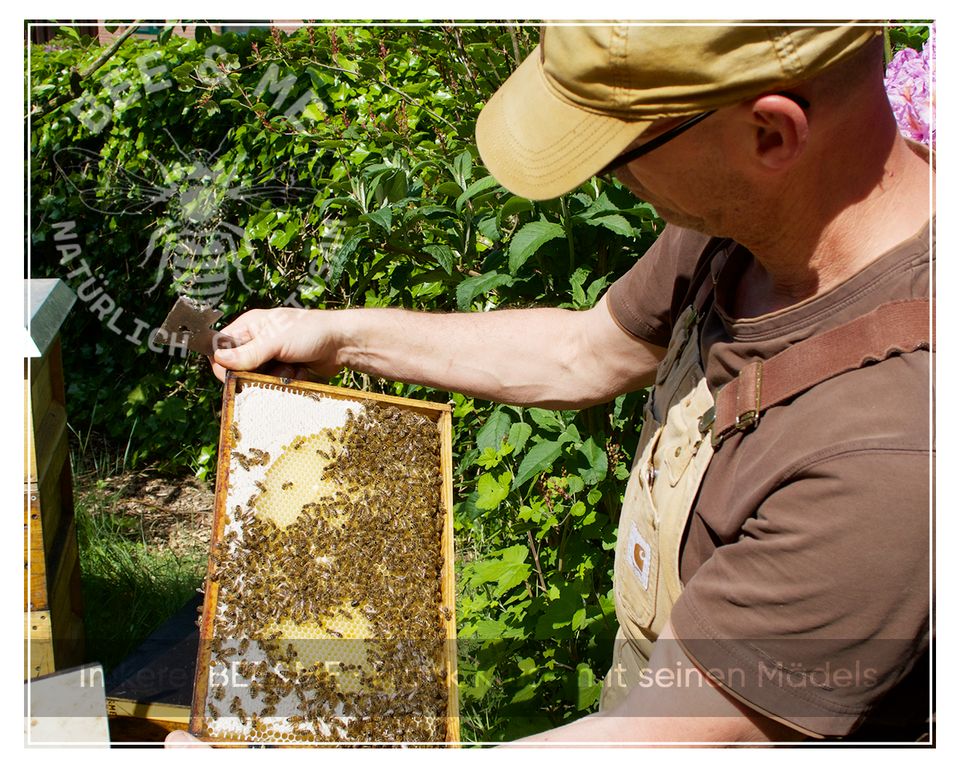 Lederbalsam 100 ml mit Bienenwachs aus eigener Imkerei in Bassum