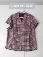 Cecil Bluse XXL total chic zur Jeans Niedersachsen - Haren (Ems) Vorschau