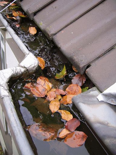 Regenrinne reinigen Dachrinne Mietgerät Dachrinnensauger Sky in Rheinberg