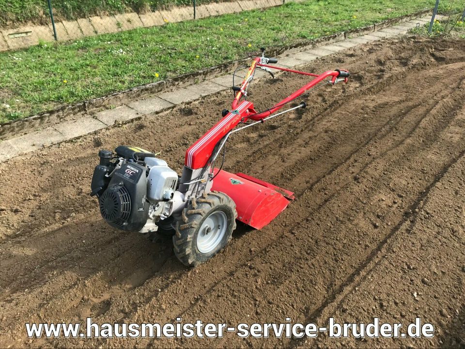 Grün- & Gartenpflege | Mäharbeiten | Rodungsarbeiten in Baden-Baden