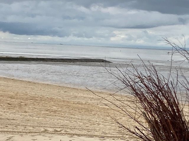 Freundliche 4 Zimmer Eigentumswohnung in attraktiver Lage in Cuxhaven-Duhnen in Cuxhaven