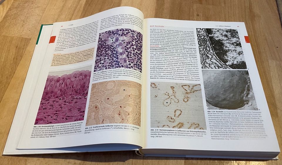 Lehrbuch Histologie (Welsch) in Heidelberg