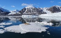 Spitzbergen - Willkommen in der Arktis! Bayern - Brennberg Vorschau