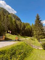 Last Minute Urlaub mit Hund in Österreich-Tirol-Nauders Rheinland-Pfalz - Carlsberg Vorschau