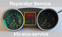 Reparatur Tacho Display Mercedes X164 W164 W251 GL ML M R Klasse Niedersachsen - Wolfsburg Vorschau