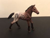 Schleich || Appaloosa Fohlen Nordrhein-Westfalen - Senden Vorschau