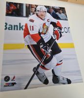 Ottawa Senators - verschiedene 20x25cm 8x10 Fotos Bilder NHL Bremen-Mitte - Bremen Altstadt Vorschau