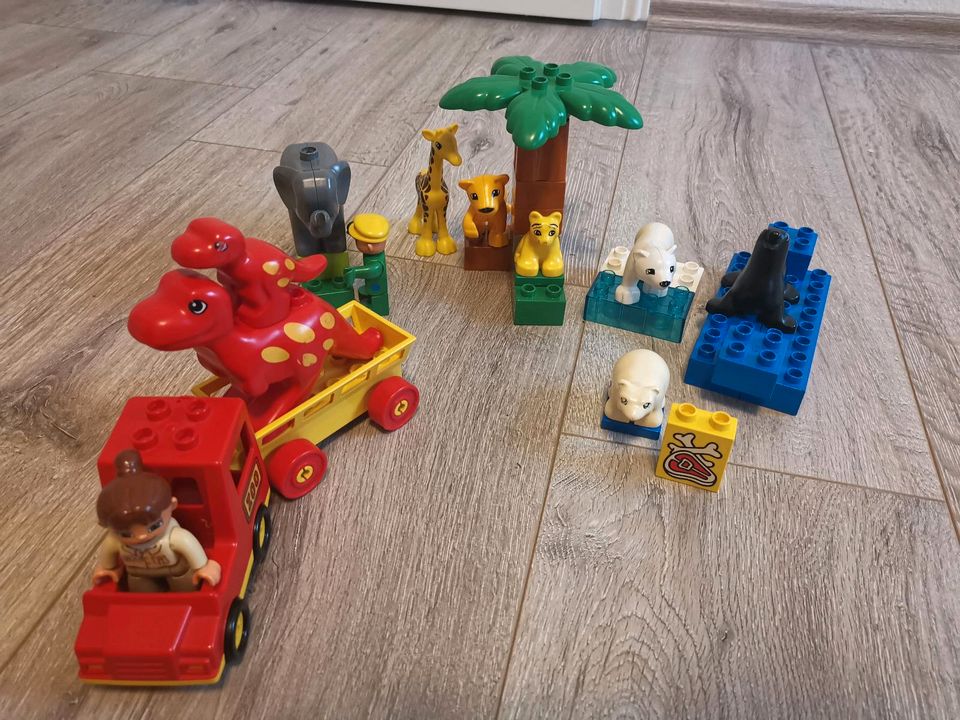 Lego duplo Set Zootiere in Klein Rönnau